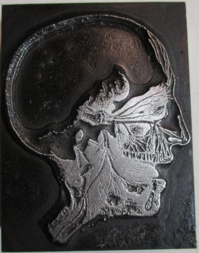 photo of letterpress block described as 'Human head cross-section' 