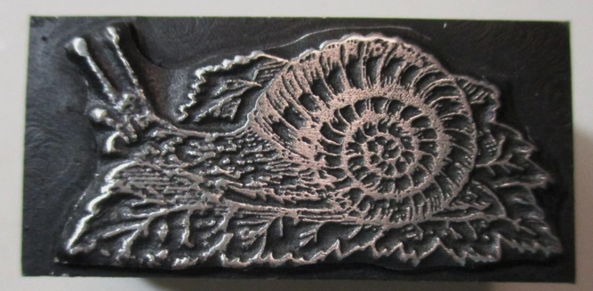 photo of letterpress block described as 'Snail' 